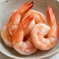 Illustration for shrimp, prawn
