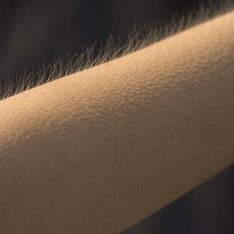 Illustration for to get goosebumps, to get chills