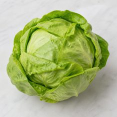 Illustration for lettuce