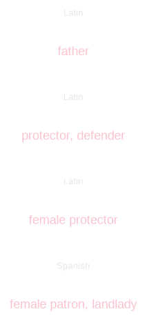 Patrona Etymology for Spanish Learners