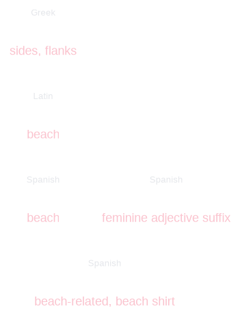Playera Word Playera Etymology for Spanish Learners