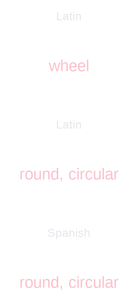 Rotunda Etymology for Spanish Learners